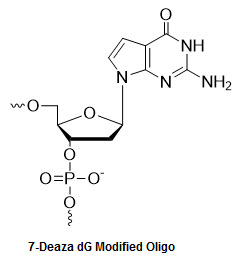 Bio-Synthesis Inc. Oligo Structure